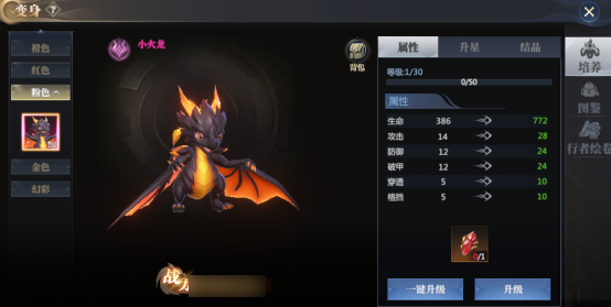 小火龙